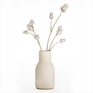 3D white bouquet dried flowers branches Thistle thorn 520 model