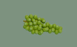 Grapes 3D model