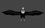 Two different version of vulture flying and sitting bird collection rigged and low poly