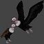 Two different version of vulture flying and sitting bird collection rigged and low poly