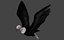 Two different version of vulture flying and sitting bird collection rigged and low poly
