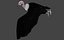 Two different version of vulture flying and sitting bird collection rigged and low poly