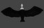 Two different version of vulture flying and sitting bird collection rigged and low poly