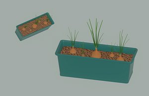 Planter Box with Growing Onions 3D model