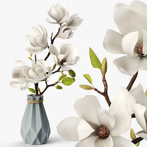 Magnolia Flower Branch in Faceted Vase White 3D model