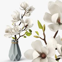 Magnolia Flower Branch in Faceted Vase White