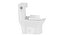 Monaco One-Piece Elongated Left Side Flush Handle Toilet model