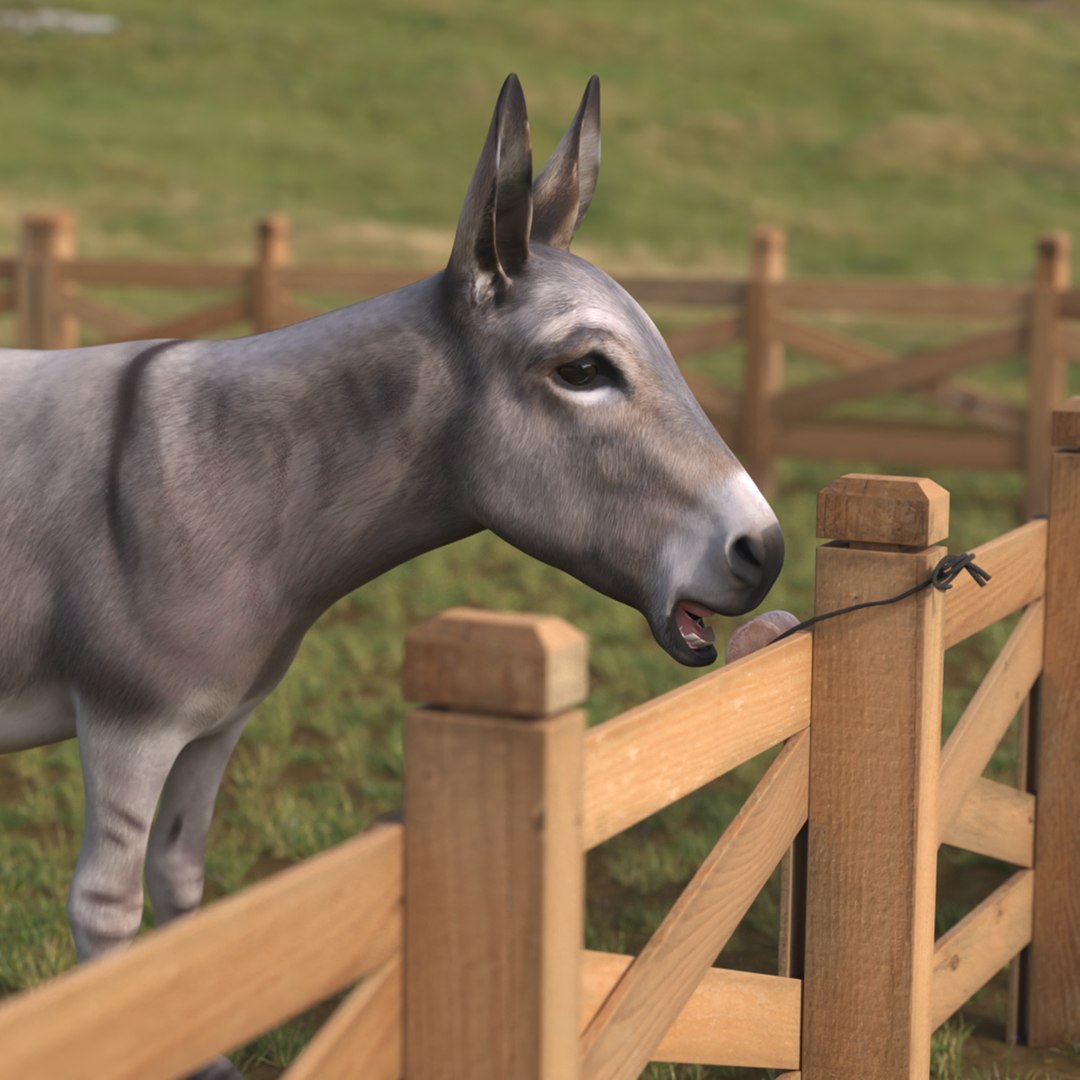 Solid Rock Salt Lick with Hanging Rope with Donkey 3D model preview