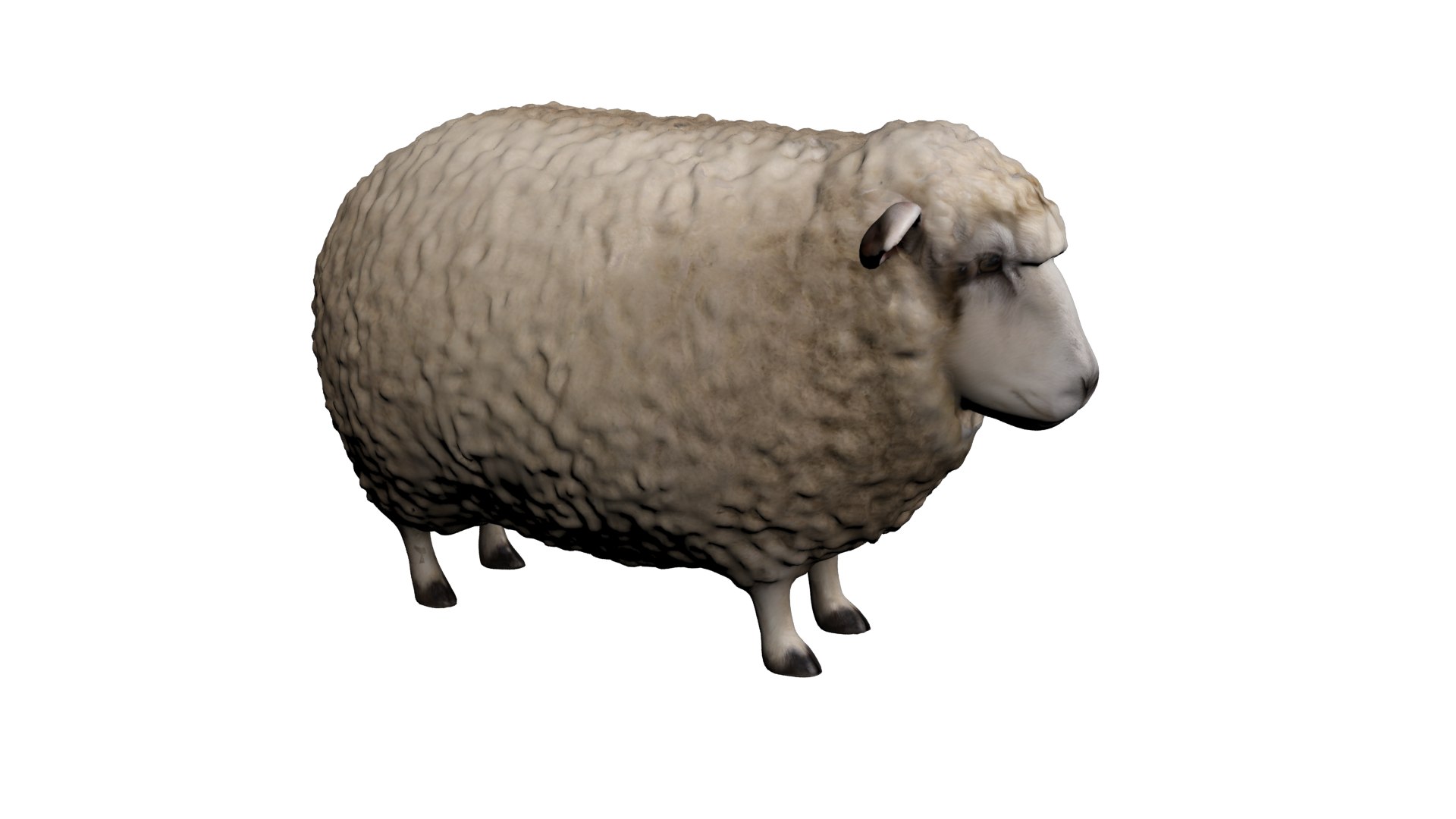 3D Realistic Sheep 3D Model - TurboSquid 2408529