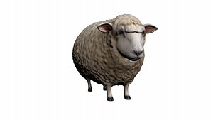 3D Realistic Sheep 3D Model