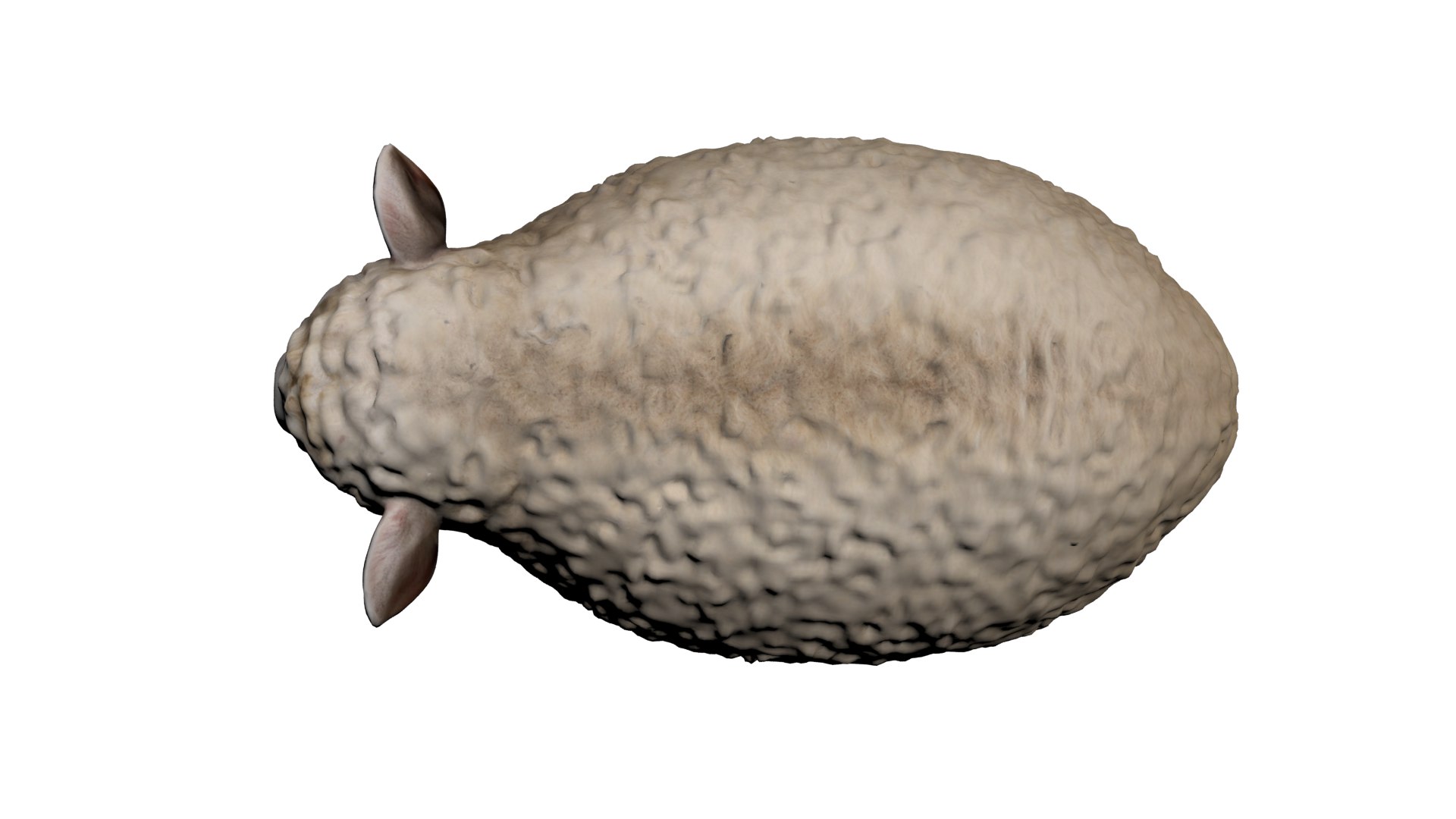 3D Realistic Sheep 3D Model - TurboSquid 2408529
