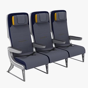 Economy Airplane Seats