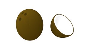 coconut open 3D model