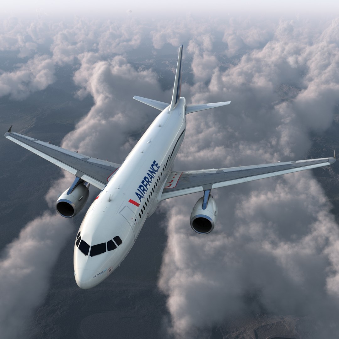 Airbus A319 Air France Rigged 3D Model 3D model preview