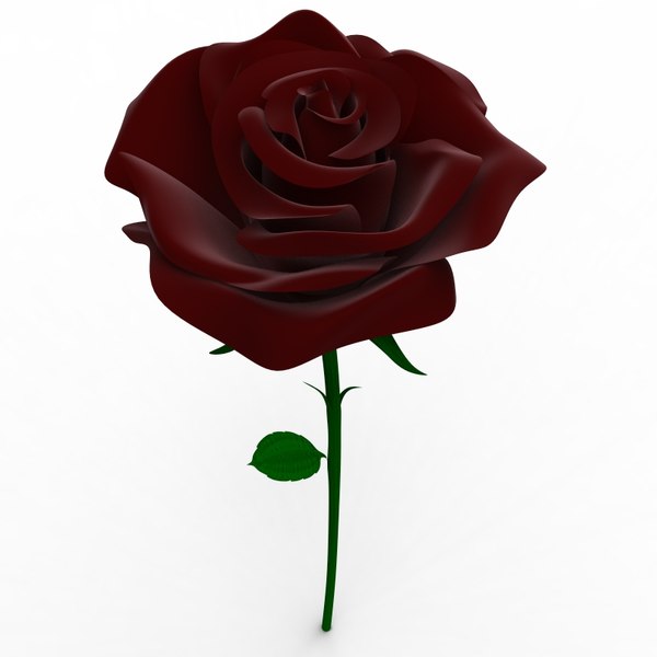 3d rose flower model