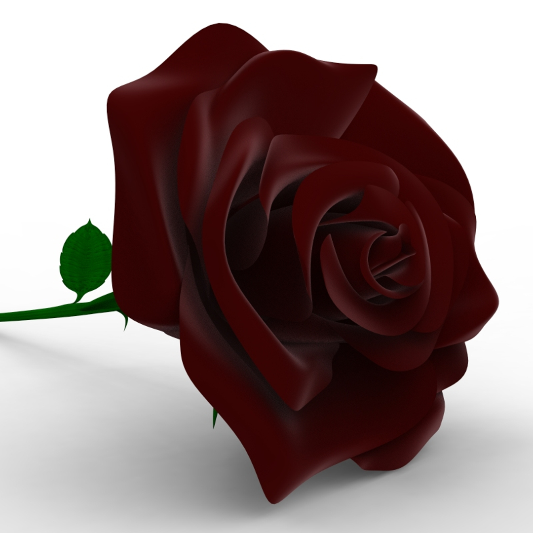 3d rose flower model