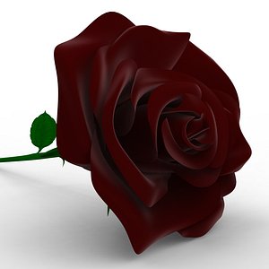 3d rose flower model