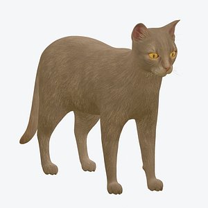 gray cat modeled 3D