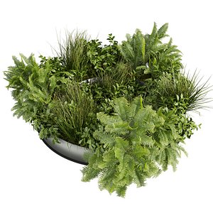 plant vol 989 - bush - fern 3D model