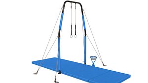Gymnastic Rings