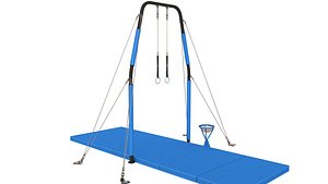 Gymnastic Rings