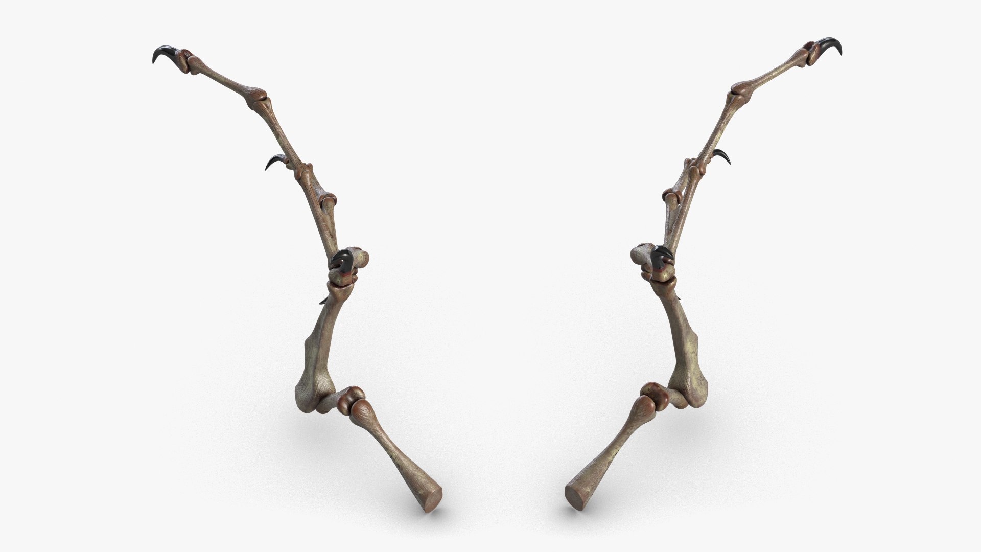 3d demon wings model https://p.turbosquid.com/ts-thumb/yL/LWfSnQ/GzllUkqB/1_beauty_demonwings2_camera004_001/jpg/1563944633/1920x1080/fit_q87/835e2ef0641485a504a0a8f0a8ff21305e21626f/1_beauty_demonwings2_camera004_001.jpg