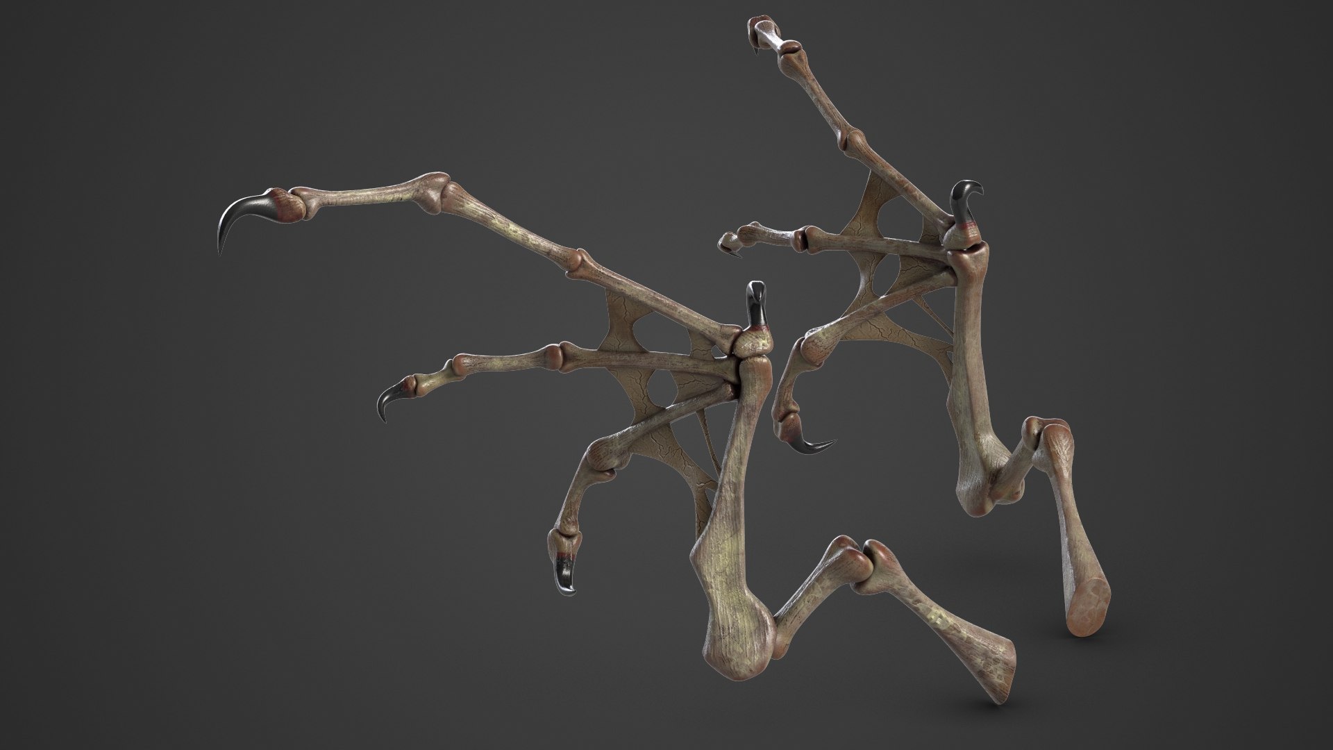 3d demon wings model https://p.turbosquid.com/ts-thumb/yL/LWfSnQ/jDwZVJ4J/1_beauty_demonwings2_camera001_001_dark/jpg/1563944633/1920x1080/fit_q87/89ed1a2df3d20523da8421e9099e80ab4c0f82f2/1_beauty_demonwings2_camera001_001_dark.jpg