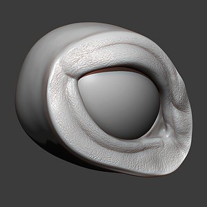 3D Cat Eye Socket Highpoly Sculpt