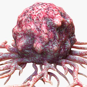 3D Cancer Cell model