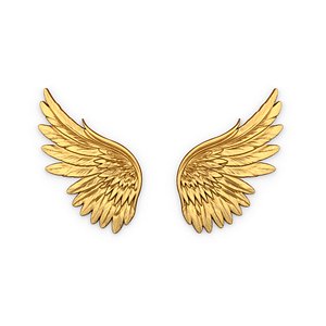 3D Wings Printable carved decor 05 model