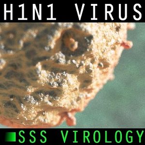 SSS H1N1 Influenza Virus HD