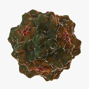 3d panleukopenia virus model