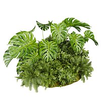 plant vol 1053 - monstera - fern - bush - garden