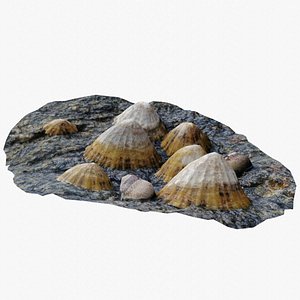 Shell Group 3D Scan 1 3D