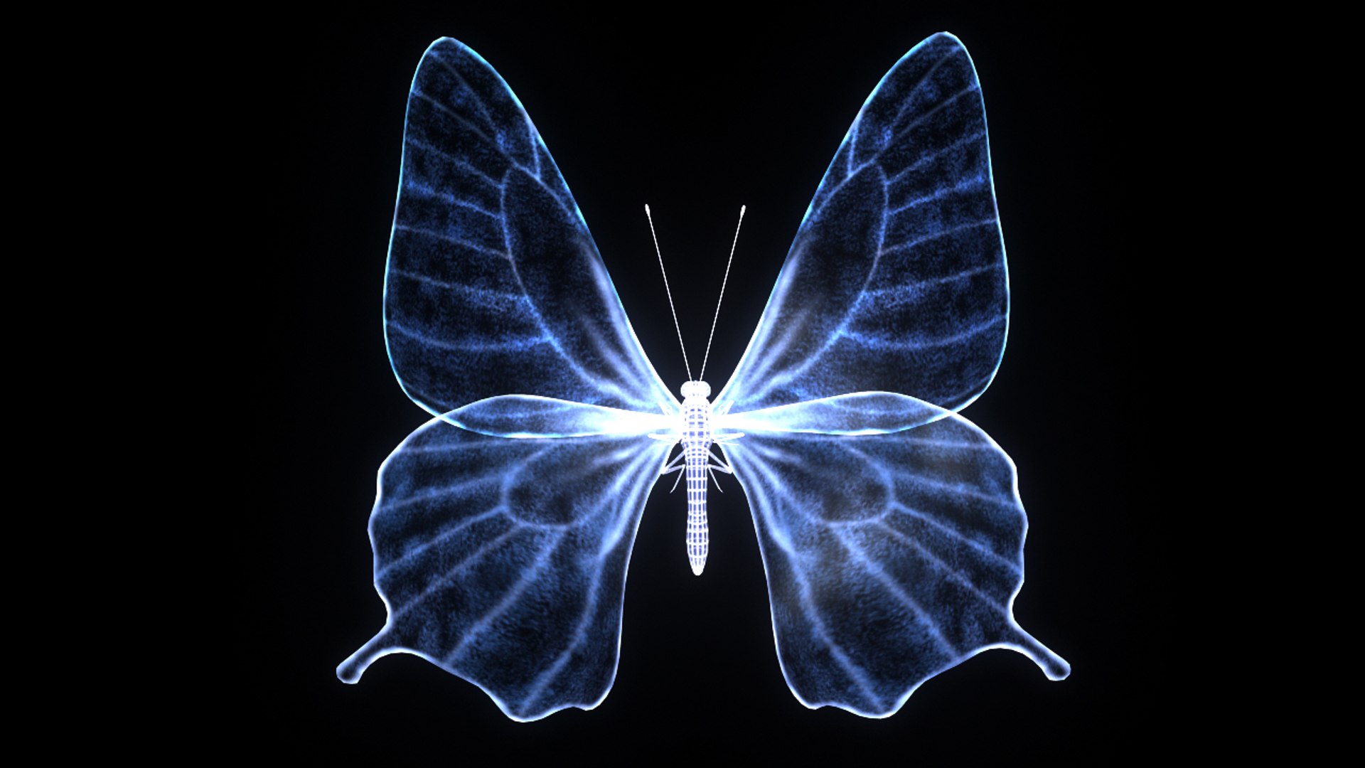 Fantasy Butterfly 3d Fbx