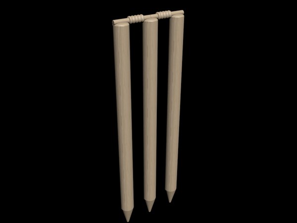 3D cricket stumps