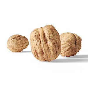 3D walnut v1