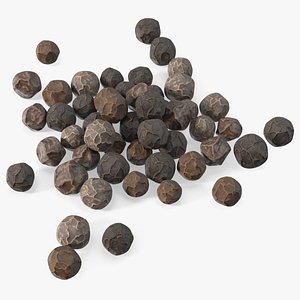 Dried Peppercorn Black 3D model