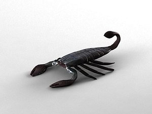 Scorpion
