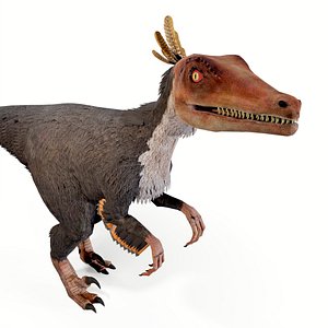 3D Velociraptor Dinosaur Animated Low Poly model