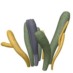 Tube Sponge - 02 -