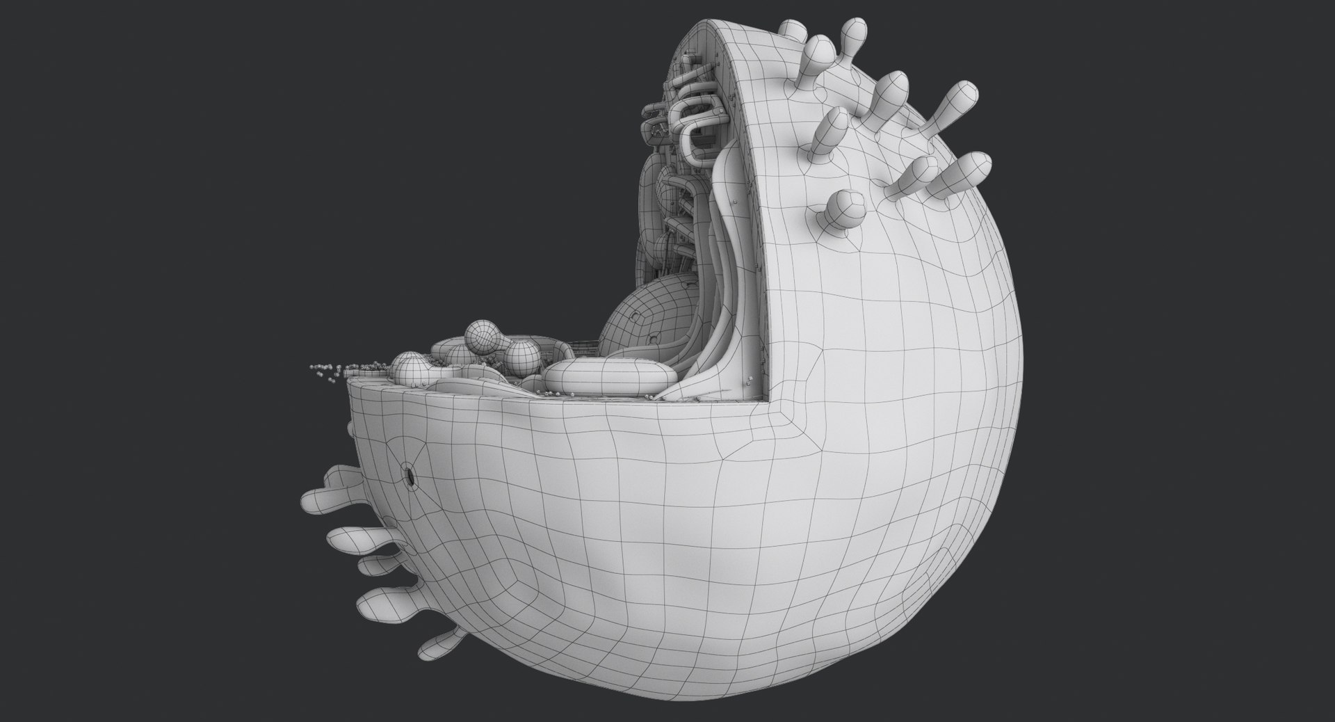 animal cell model https://p.turbosquid.com/ts-thumb/yM/u70Sq9/74vaEjAo/animalcell_0085/jpg/1559374521/1920x1080/fit_q87/b91514c22bd7ffd11e166ddae255f4940487b753/animalcell_0085.jpg