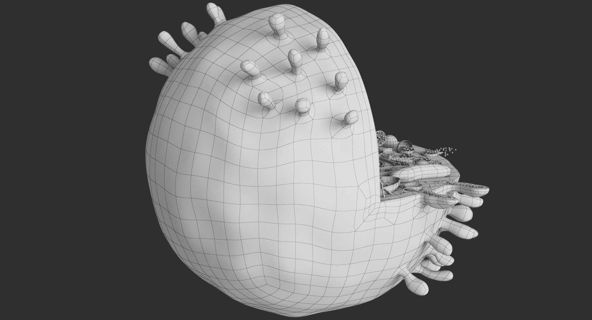animal cell model https://p.turbosquid.com/ts-thumb/yM/u70Sq9/H1GI74YR/animalcell_0088/jpg/1559374521/1920x1080/fit_q87/1a84c5c242bfad3e5e6934ba86188cd2bd5e5cd8/animalcell_0088.jpg