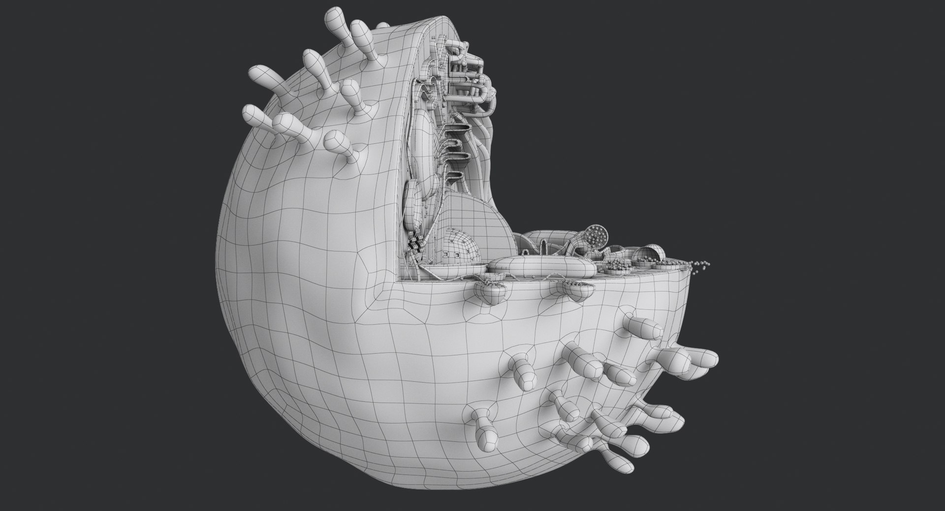 animal cell model https://p.turbosquid.com/ts-thumb/yM/u70Sq9/ME4MicS6/animalcell_0084/jpg/1559374521/1920x1080/fit_q87/c493d7987970d6f314eb1a810804754f07f2cc06/animalcell_0084.jpg