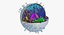 Animal Cell
