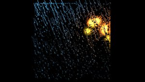 Rainy windows