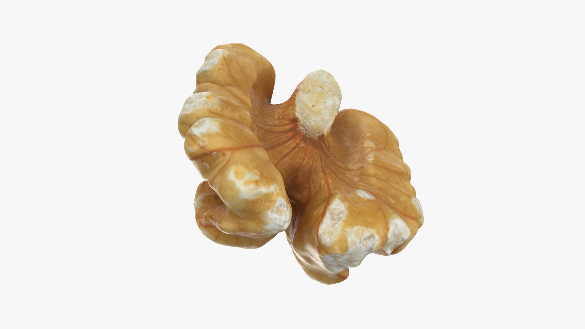 Walnut 03 - 3D Scanned 3D https://p.turbosquid.com/ts-thumb/yN/5AhcHJ/0W/walnut03_0009/png/1772122896/1920x1080/fit_q87/16c48bdd025c75d32663e09d774bd903cd949d5e/walnut03_0009.jpg