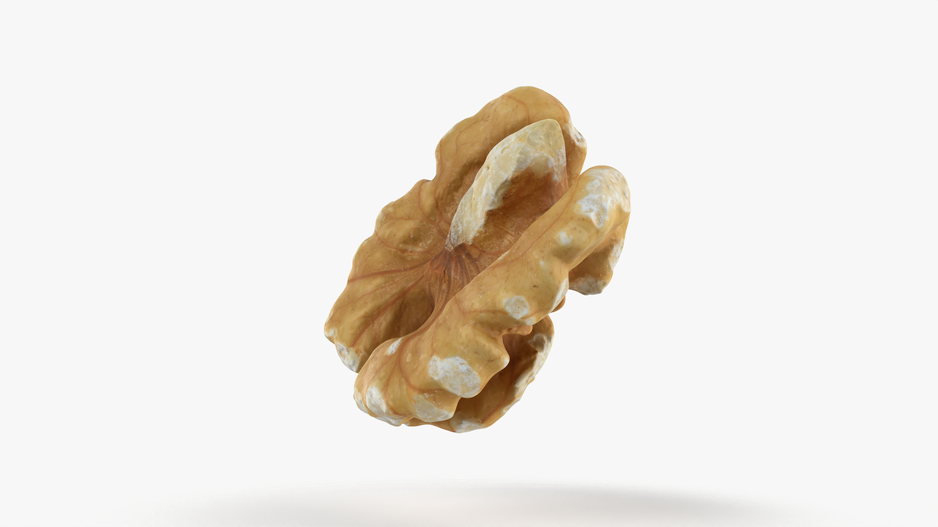 Walnut 03 - 3D Scanned 3D https://p.turbosquid.com/ts-thumb/yN/5AhcHJ/21/walnut03/png/1772661039/1920x1080/turn_fit_q99/63bc13636a44a1e6b161a52fd8b7ddce9cd3c491/walnut03-1.jpg