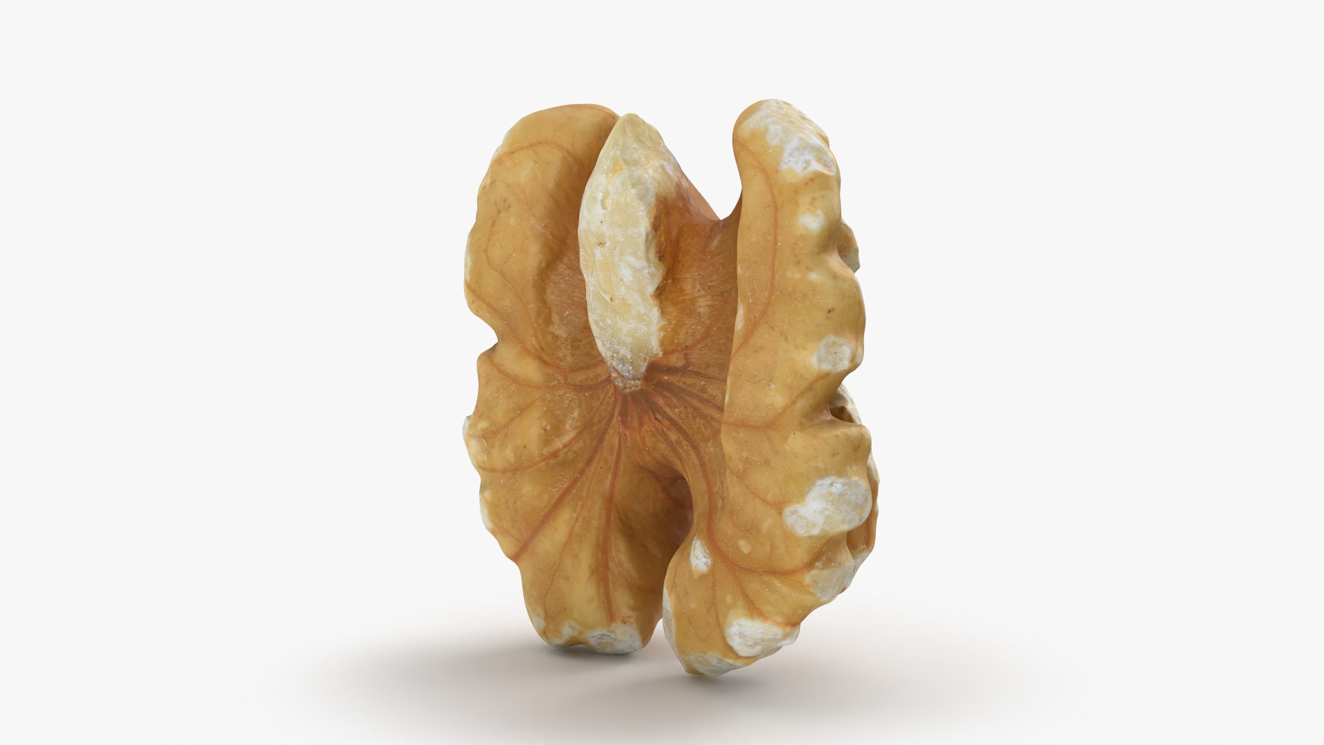 Walnut 03 - 3D Scanned 3D https://p.turbosquid.com/ts-thumb/yN/5AhcHJ/5S/walnut03_0007/png/1772122891/1920x1080/fit_q87/01033080b6f33a1ef892e5bd4f5a32f56f1e2729/walnut03_0007.jpg