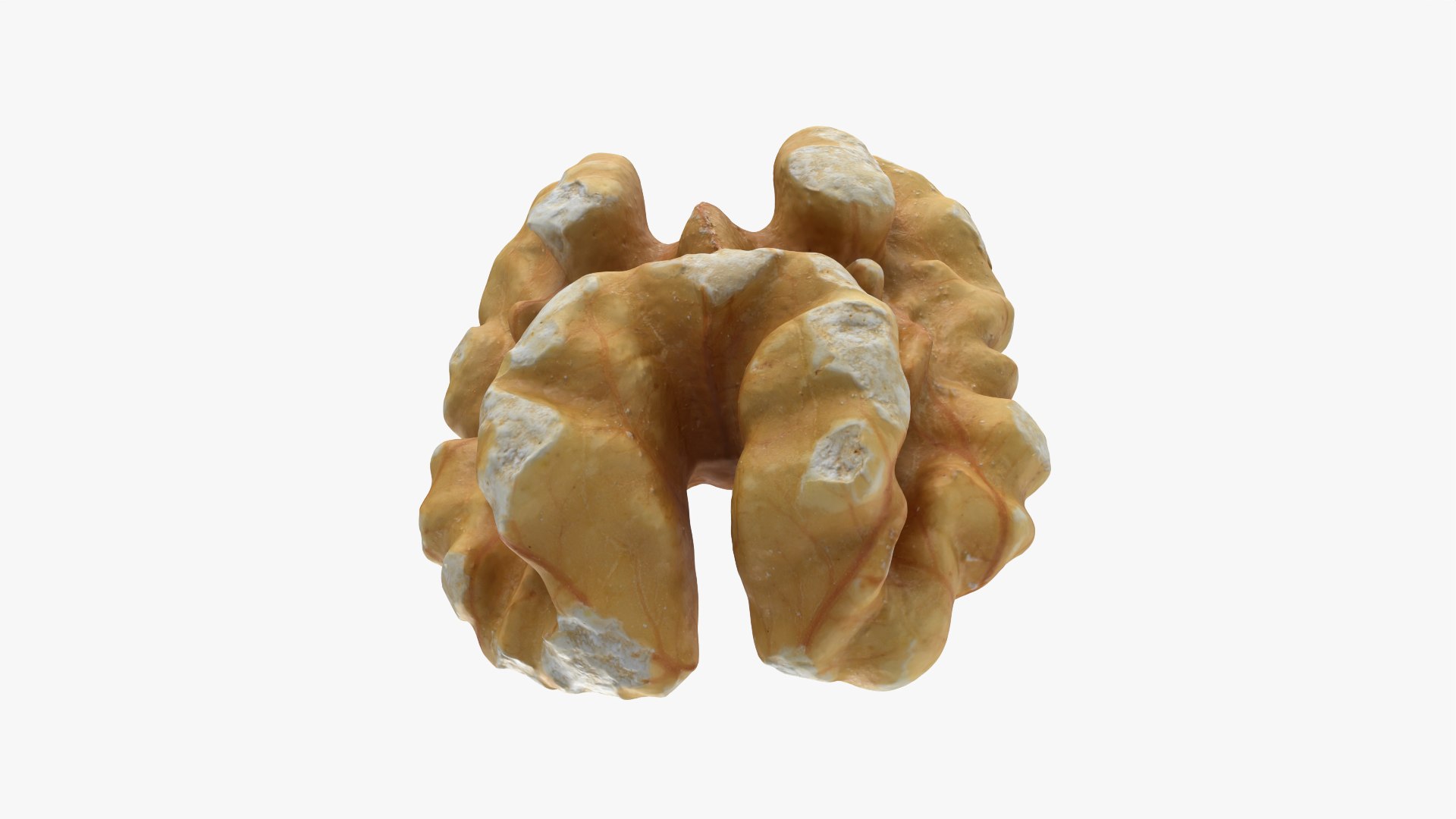 Walnut 03 - 3D Scanned 3D https://p.turbosquid.com/ts-thumb/yN/5AhcHJ/94/walnut03_0010/png/1772122896/1920x1080/fit_q87/40e2e13fb2fe0ede084d534d4e4f5a2d1b25c808/walnut03_0010.jpg